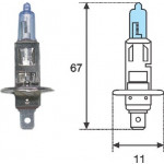 MAGNETI MARELLI Glühlampe, Fernscheinwerfer